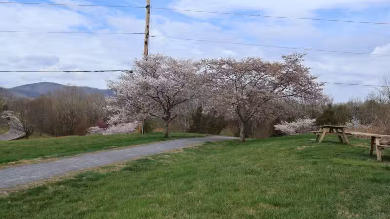 Cherry Blossom TRACK Trail Trailhead - Daleville, VA