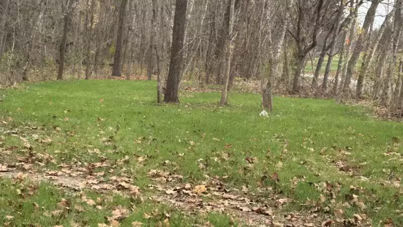 Cherry Blossom TRACK Trail Trailhead - Daleville, VA