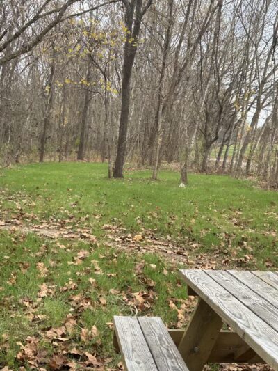 Cherry Blossom TRACK Trail Trailhead - Daleville, VA