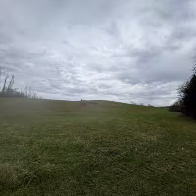 Cherry Blossom TRACK Trail Trailhead - Daleville, VA