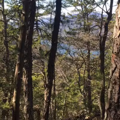 Hay Rock Trailhead - Daleville, VA