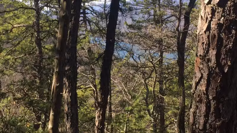 Hay Rock Trailhead - Daleville, VA
