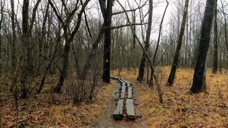 Tinker Creek - Daleville, VA