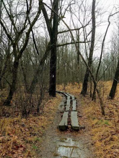 Tinker Creek - Daleville, VA