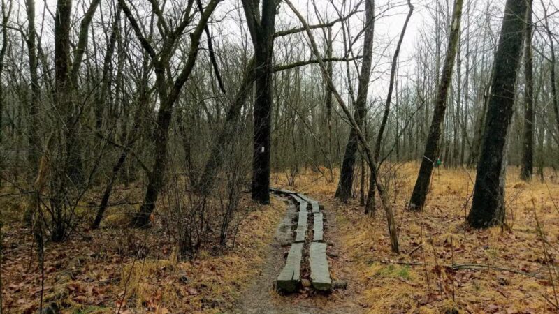 Tinker Creek - Daleville, VA