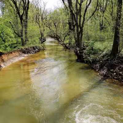 Tinker Creek - Daleville, VA