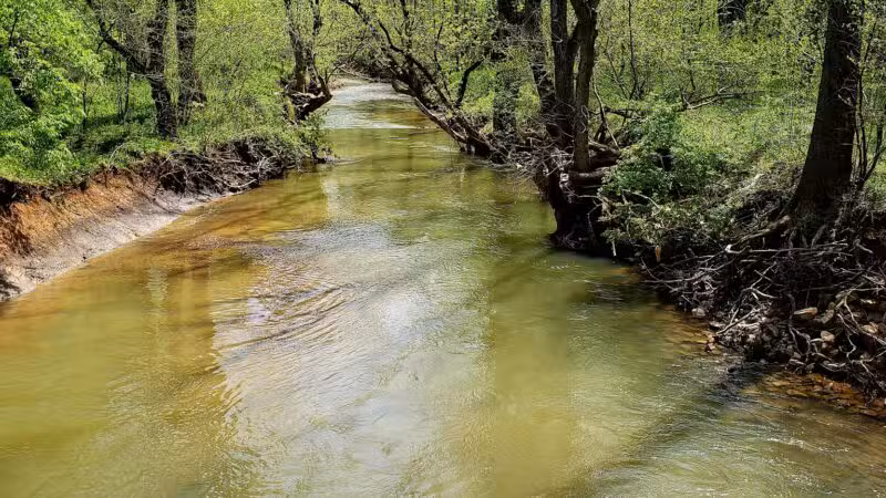 Tinker Creek - Daleville, VA