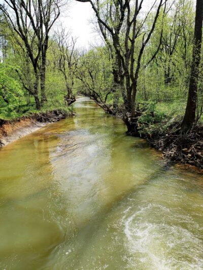 Tinker Creek - Daleville, VA
