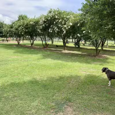 Daphne Dog Park - Daphne, AL