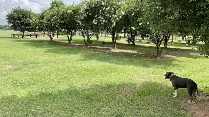 Daphne Dog Park - Daphne, AL