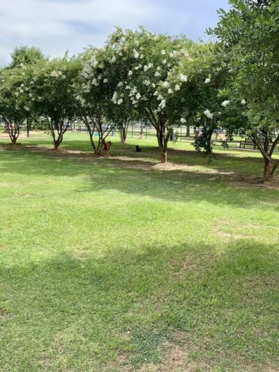Daphne Dog Park - Daphne, AL