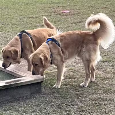 Daphne Dog Park - Daphne, AL