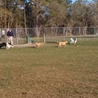 Daphne Dog Park - Daphne, AL