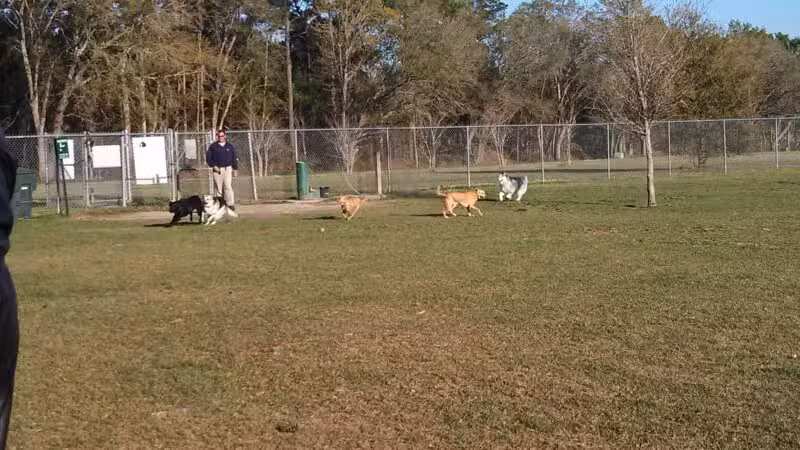 Daphne Dog Park - Daphne, AL