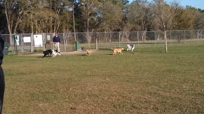 Daphne Dog Park - Daphne, AL
