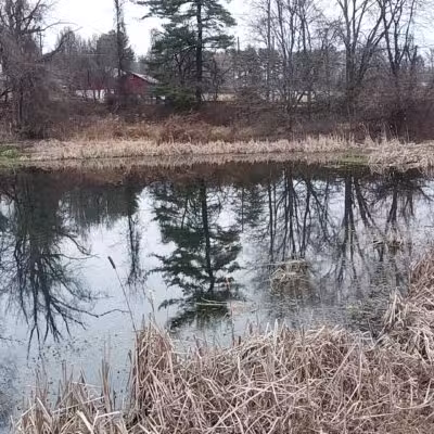 Dublin Dell - Darlington, MD