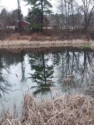 Dublin Dell - Darlington, MD