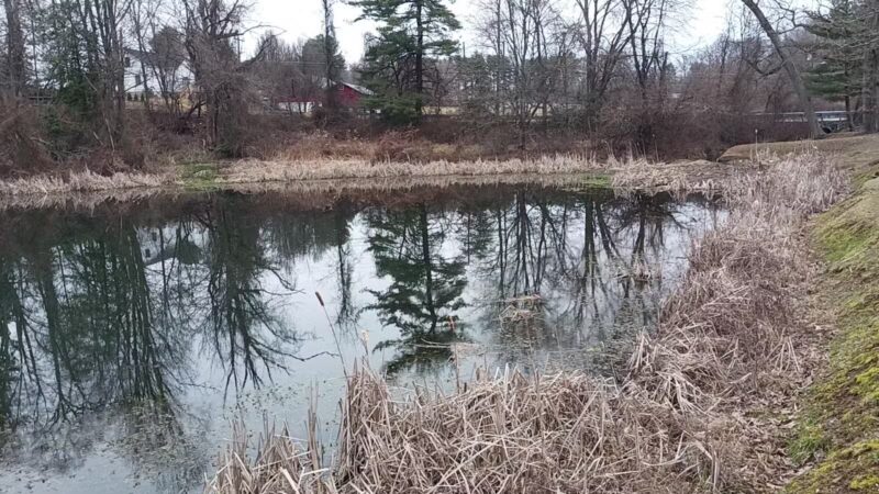 Dublin Dell - Darlington, MD