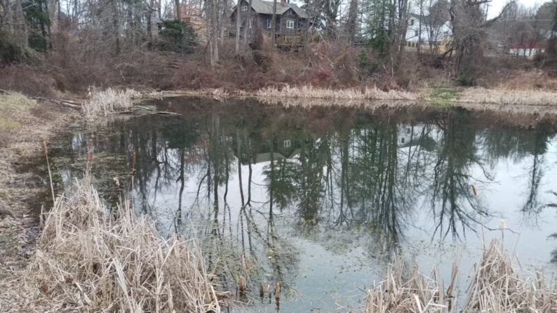 Dublin Dell - Darlington, MD