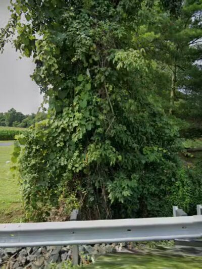 Dublin Dell - Darlington, MD