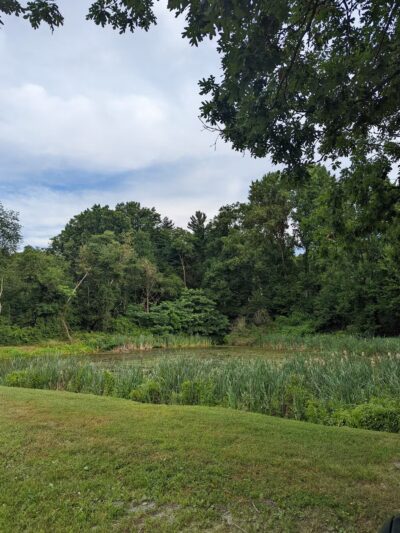 Dublin Dell - Darlington, MD