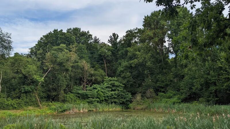 Dublin Dell - Darlington, MD