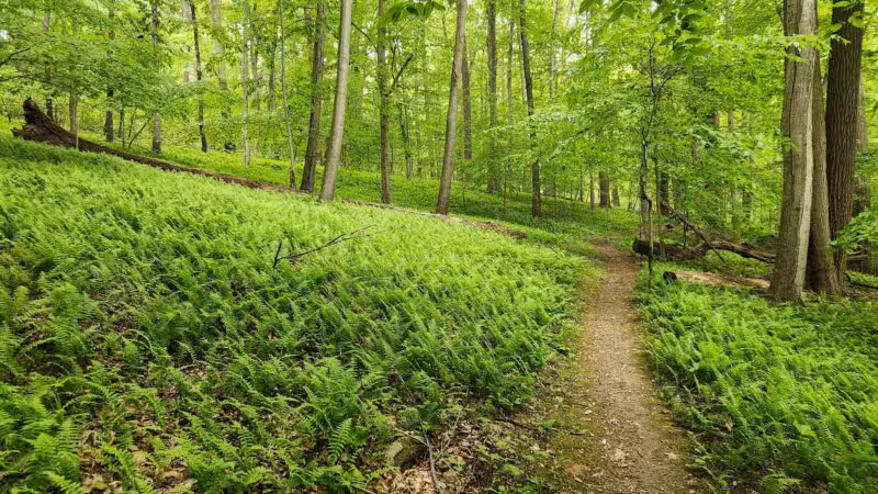 Mason-Dixon Trail Head - Darlington, MD