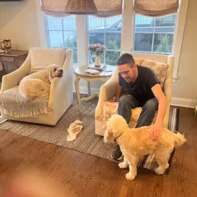 Dave’s dogs - ,