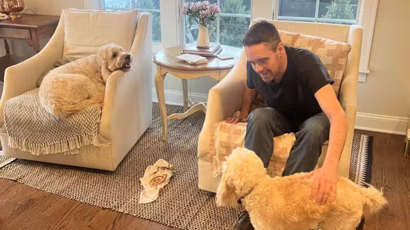 Dave’s dogs - ,
