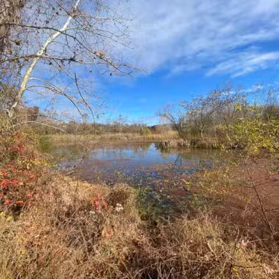 Davidsonville Park - Davidsonville, MD
