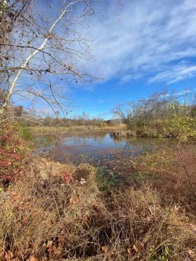 Davidsonville Park - Davidsonville, MD