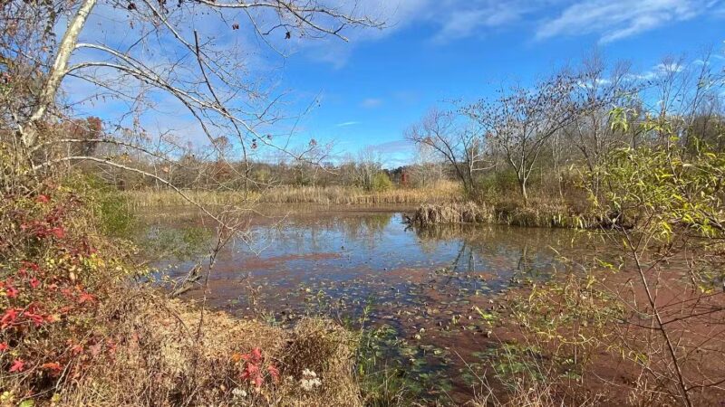 Davidsonville Park - Davidsonville, MD