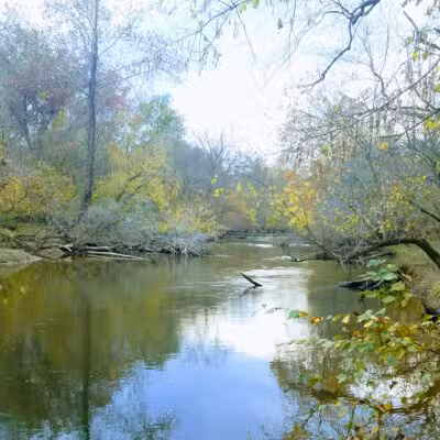 Davidsonville Park - Davidsonville, MD
