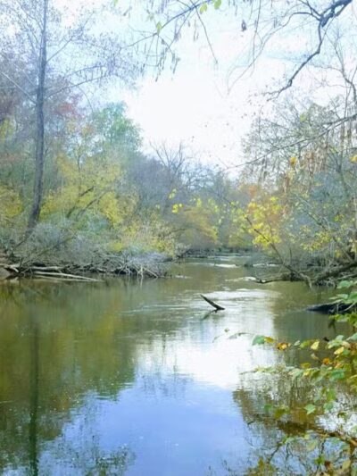 Davidsonville Park - Davidsonville, MD