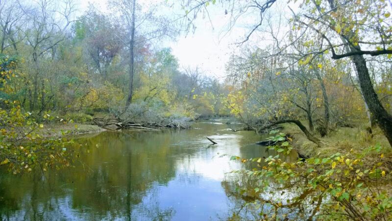 Davidsonville Park - Davidsonville, MD