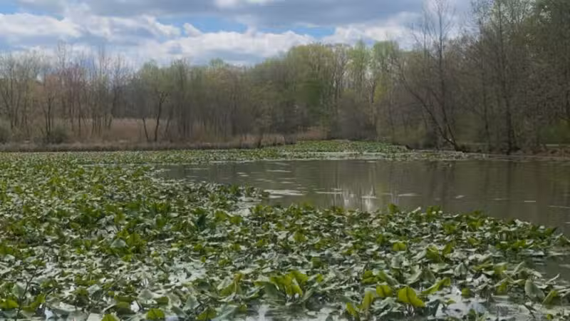 Davidsonville Park - Davidsonville, MD