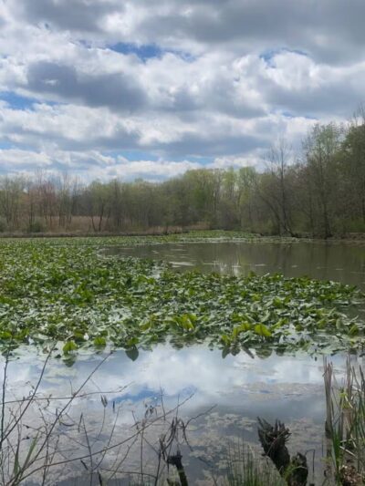 Davidsonville Park - Davidsonville, MD