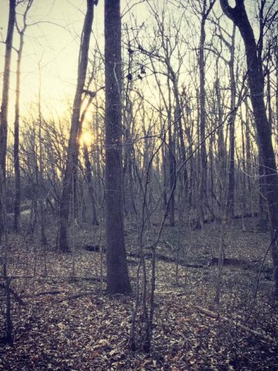 Riva Area Park - Davidsonville, MD