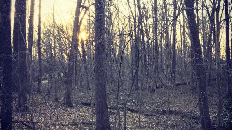 Riva Area Park - Davidsonville, MD