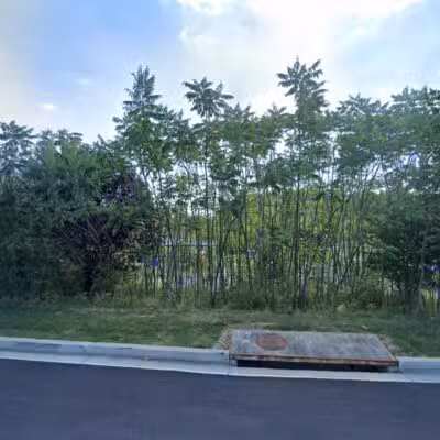 Dayton Oaks Park - Dayton, MD