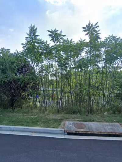 Dayton Oaks Park - Dayton, MD