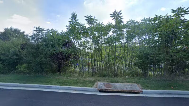 Dayton Oaks Park - Dayton, MD