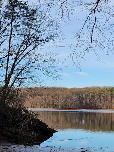Pig Tail Recreation Area - Dayton, MD