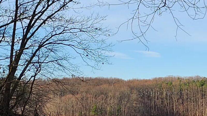 Pig Tail Recreation Area - Dayton, MD