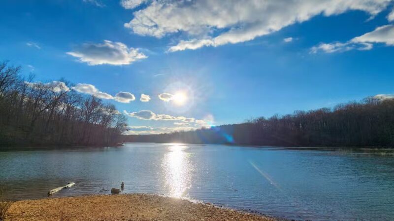 Pig Tail Recreation Area - Dayton, MD