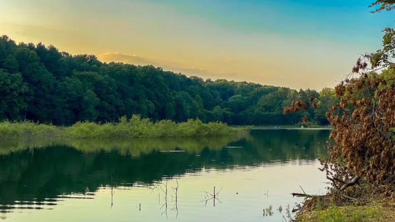 Pig Tail Recreation Area - Dayton, MD