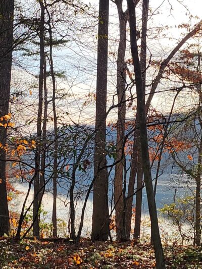 Pig Tail Recreation Area - Dayton, MD