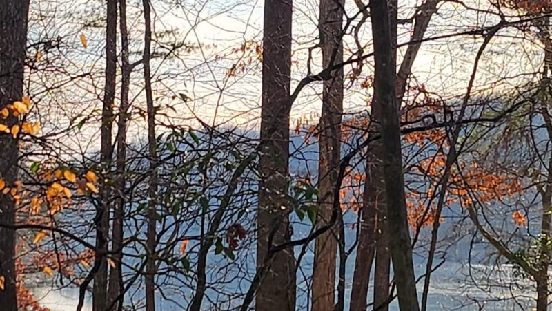 Pig Tail Recreation Area - Dayton, MD