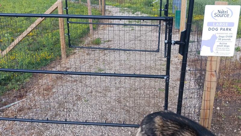 Delano Dog Park - Delano, MN