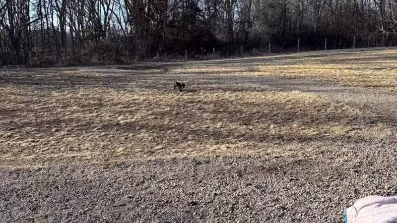 Delano Dog Park - Delano, MN